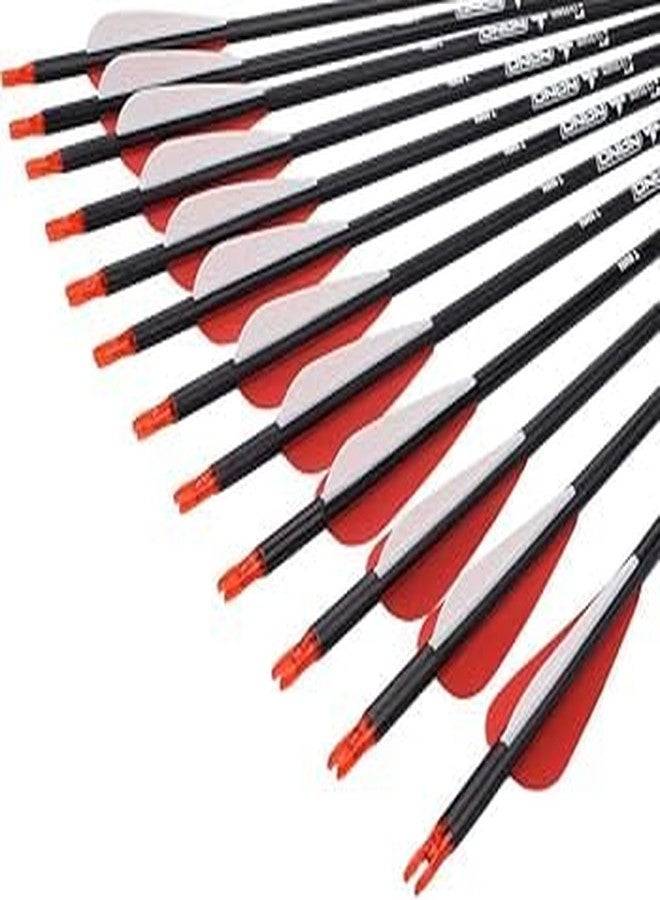 Futaba 30 inch Archery Arrows for Recurve Bow Fiberglass Target Practice (6 pcs) - Red - Image 3