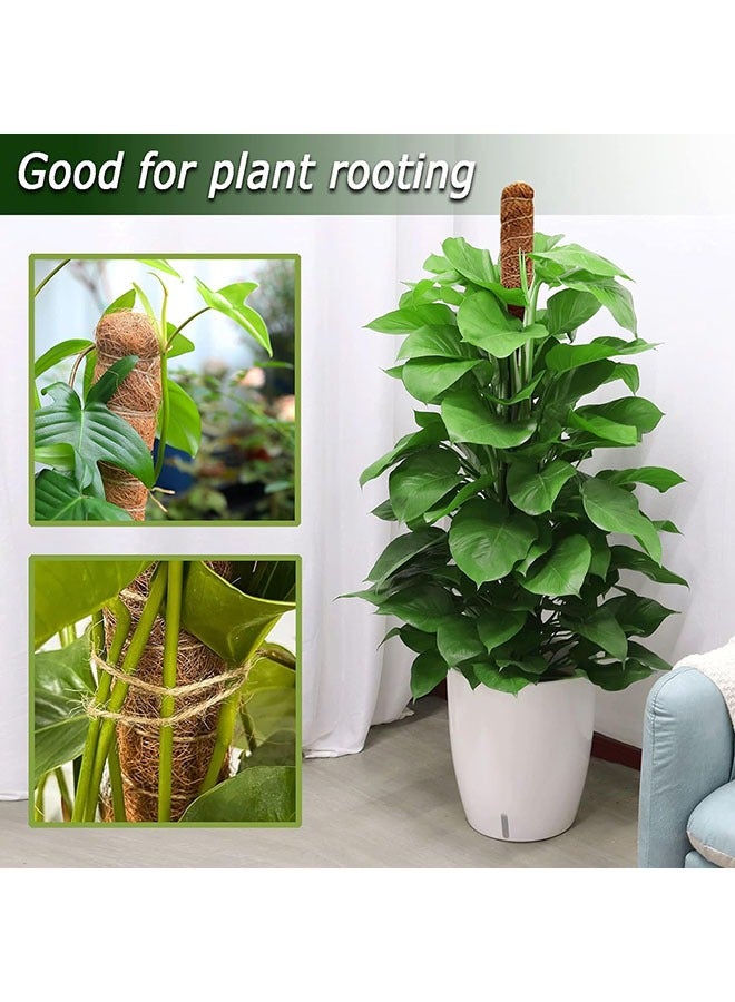 يلا جوي 2 حزمة قطب الطحالب, 28 بوصة قطب الطحالب القابل للثني للنباتات Monstera, قطب الطحالب للنباتات المتسلقة في الداخل, قطب قطب عصا الدعم للنبات في وعاء, Pothos, Philodendron - Image 3