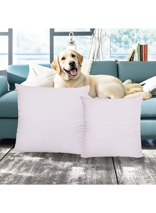 2pcs Soft White Square Pillow Inserts 17 72x17 72 Inch For Home Decor - Image 1