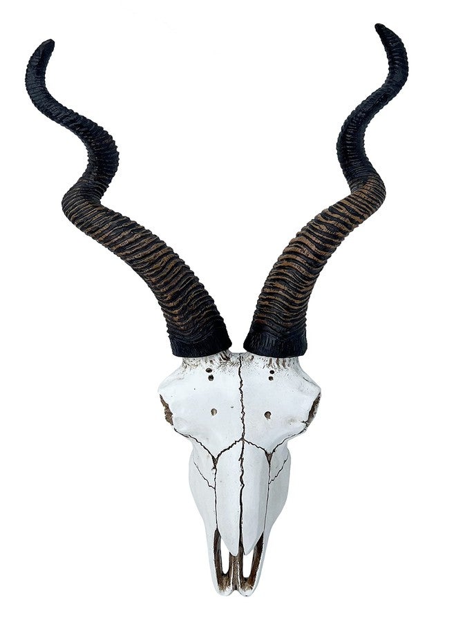 Top Brass 14 1/2" African Kudu Antelope Skull - Wall Mount Head - Rustic Safari Decor - Image 1