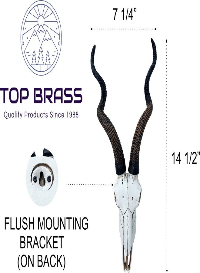 Top Brass 14 1/2" African Kudu Antelope Skull - Wall Mount Head - Rustic Safari Decor - Image 2