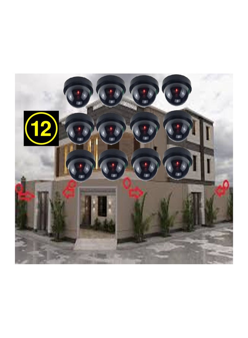 co arma Dual-battery dummy cameras - Image 1