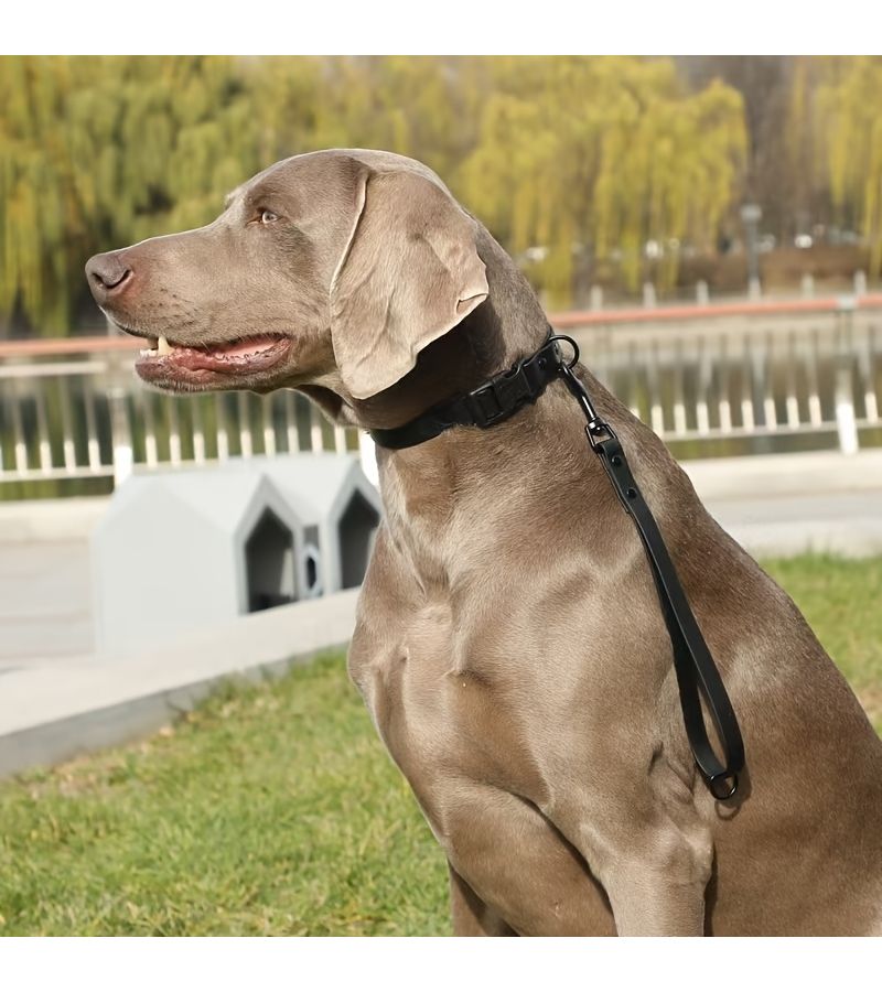 Orange Heavy Duty Dog Leash With Grab Ring Stain Resistant Easy To Clean - Image 5