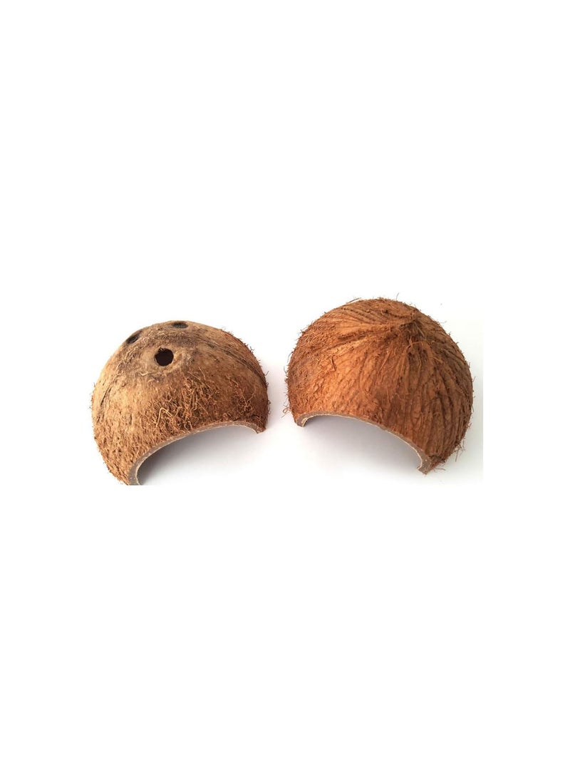 GGOOT Reptile Cave - 2pcs Coconut Shells Shelter Durable Lizard Tortoise Scorpion Small Animal Cage House Hide Habitat Cave Hut - Image 5