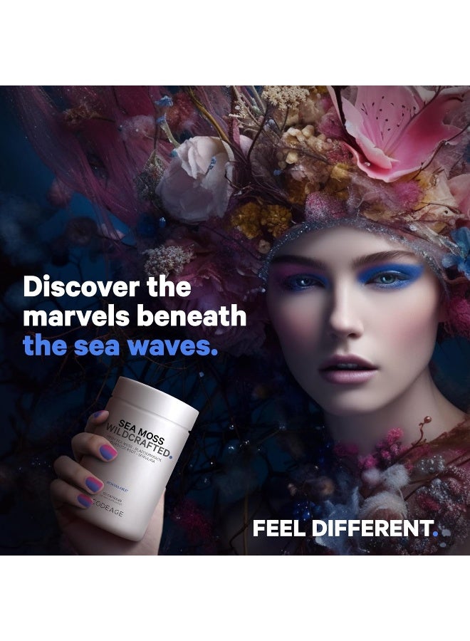 Codeage مكمل طحالب البحر الأيرلندية البرية الخام، سبيرولينا، طحالب بلادرواك، جذر الأرقطيون، فلفل أسود، نباتي، غير معدل وراثيًا، 120 كبسولة - Image 4