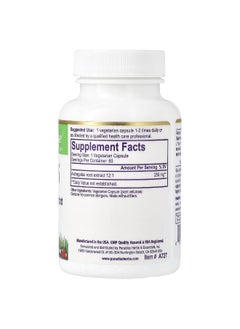 Paradise Herbs Paradise Herbs, Astragalus, 250 mg, 60 Vegetarian Capsules  - Image 2