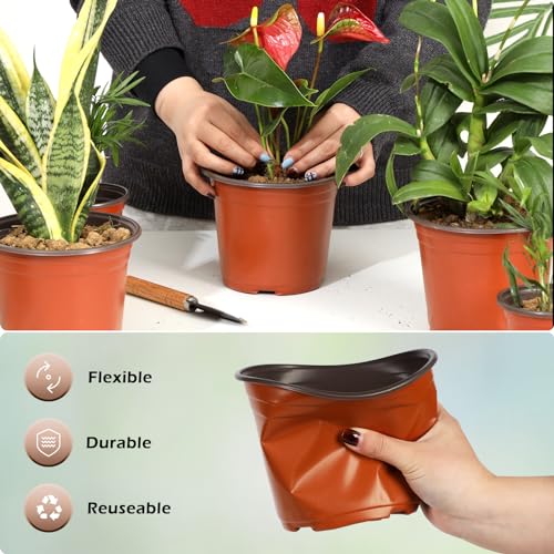 Hemikaki 200 Pack 6 Inch Plastic Nursery Pots for Plants, Seedling Pots Succulent Pots Flower Pots with Drainage Holes, Come with 200pcs Plant Labels - Image 5