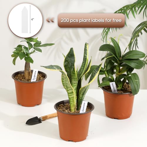 Hemikaki 200 Pack 6 Inch Plastic Nursery Pots for Plants, Seedling Pots Succulent Pots Flower Pots with Drainage Holes, Come with 200pcs Plant Labels - Image 4