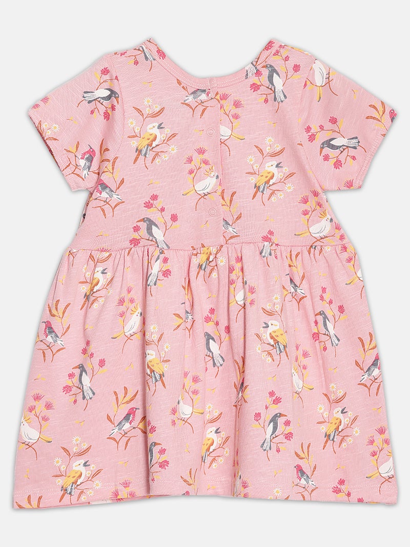 Broon Infant Girls Light Orange Floral Organic Cotton Dress - Image 2