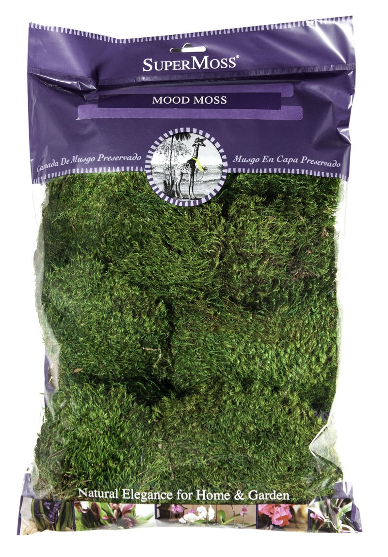 SuperMoss (21539) Mood Moss Preserved, 200 Cubic Inch Bag (Appx. 8oz), Fresh Green - Image 1