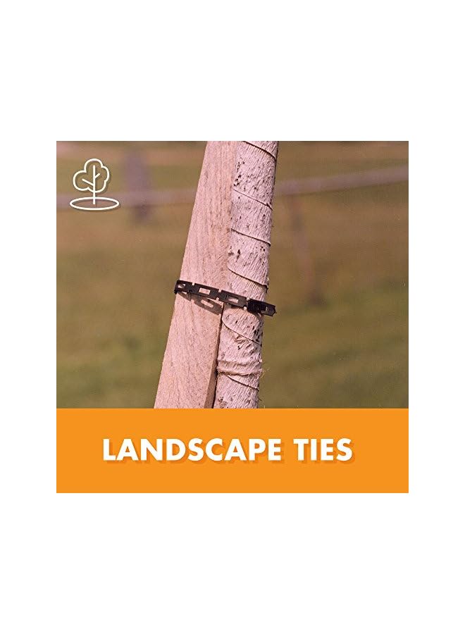 PROMASS 1100-2 FirmFlex Chain Lock Tree Tie, 100 Foot, Black - Image 2