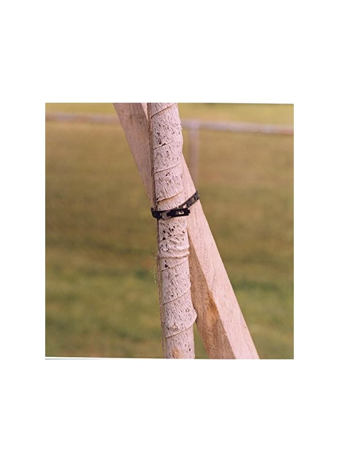 PROMASS 1100-2 FirmFlex Chain Lock Tree Tie, 100 Foot, Black - Image 5