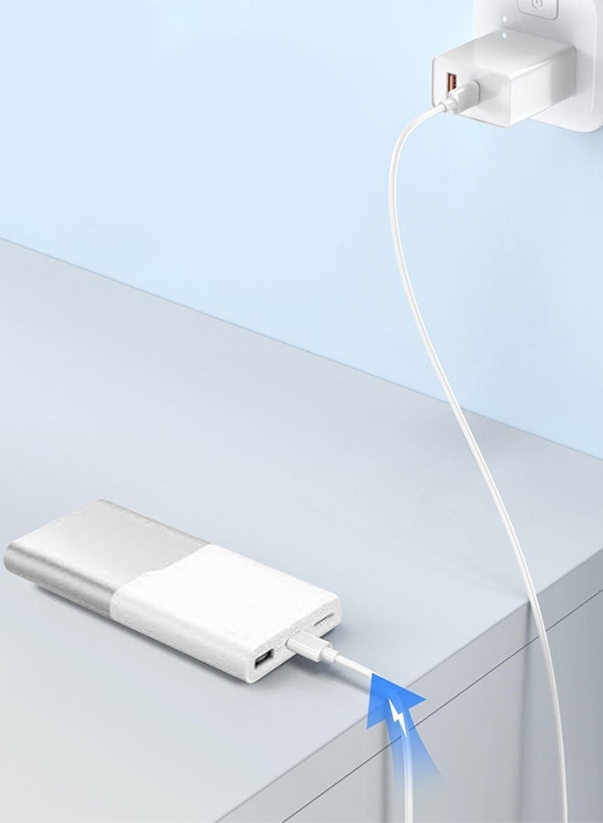 Fast Charging 12000 mAh Power bank With USB-C And USB-A Port Silver White - Image 5