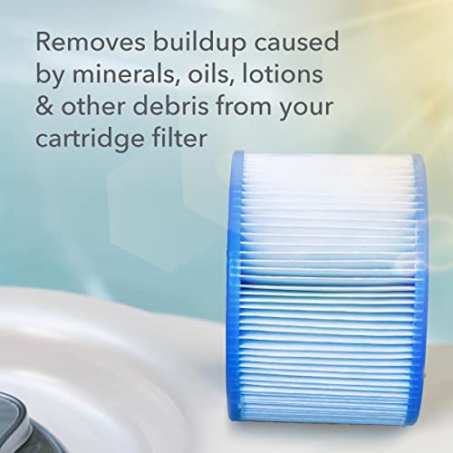 LEISURE TIME Spa S Maintenance Instant Cartridge Clean, Spa and Hot Tub Cleaner, 1 Pt - Image 2
