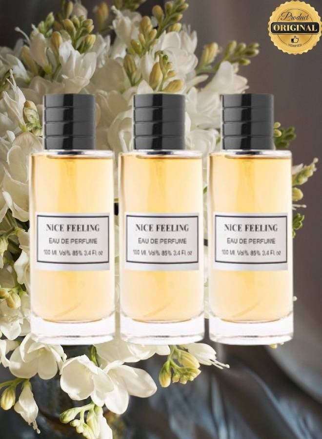 ALHAMIDI 3 Pieces Nice Feeling Perfume 100ML - Image 1