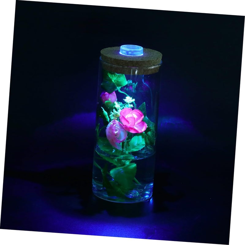 Cylindrical LED Light Terrarium Bottle 8x18cm Glass Micro Landscape Decor with Cork Stopper for Home Aquarium - Image 4