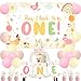 Merrystorm Chicken Themed 1st Birthday Party Decoration This Chick Is One Backdrop One Highchair Banner Cake Cupcake Topper Pink Orange Yellow Balloons for Boy Girl Baby Shower 1st Birthday Party Decor Supplies - Image 2