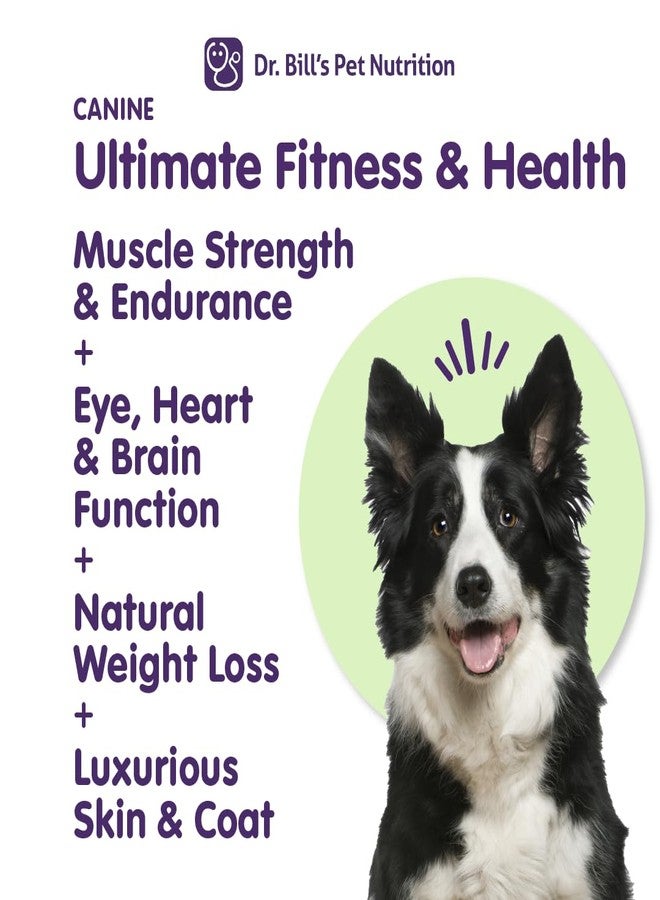 Dr. Bill's Dr. Bill’s Canine Ultimate Fitness & Health Vitamins for Dogs | Multivitamin for Dogs w/Coenzyme Q-10, Vitamin E, Vitamin D-3, Biotin, Folic Acid, Hyaluronic Acid Dog Vitamins and Supplements 340g - Image 3