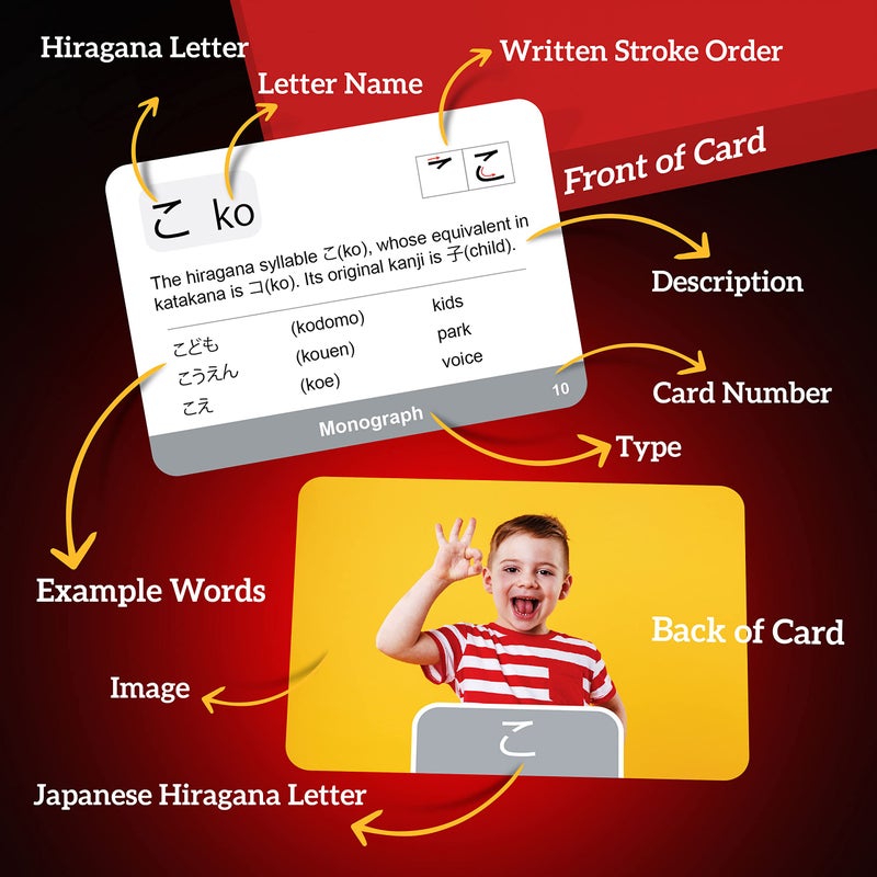 Briston Japanese Hiragana Flash Cards for Kids & Adults â€“ 104 Alphabet Learning Cards with Pictures & Stroke Order â€“ Study Aid for Beginners, Teachers, Classrooms, Homeschool Language Learning Tools - Image 2