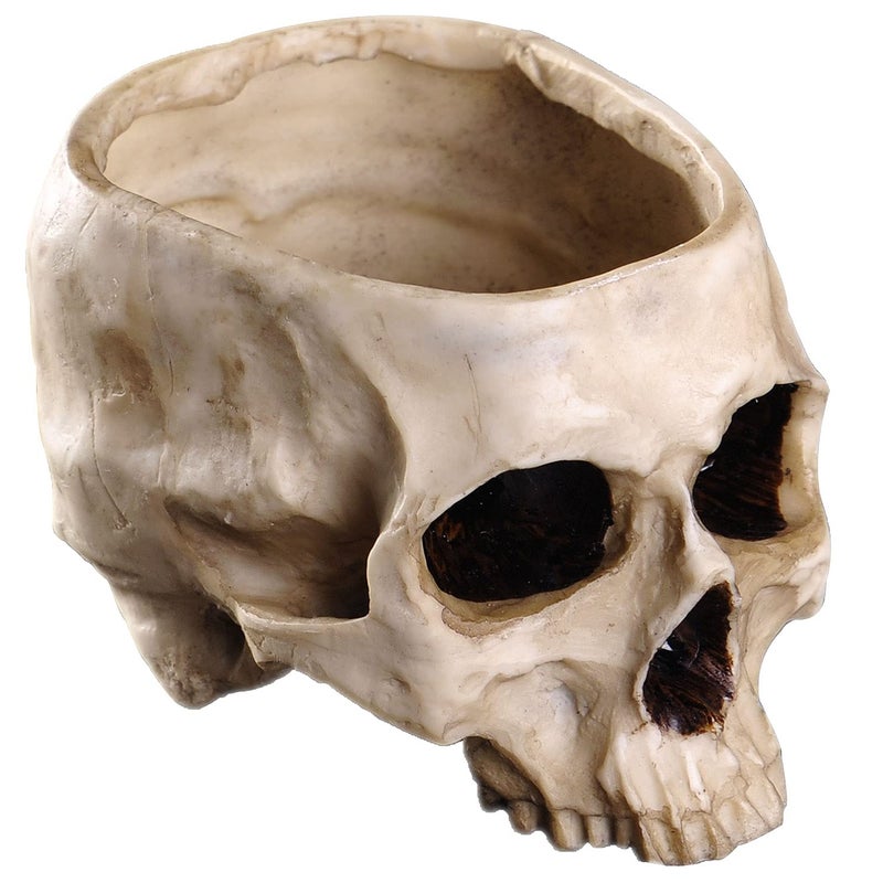 IBWell Modern Large Funny Resin Skull Shaped Head Design Flower Pot Planter Container Decoration Flowerpot Props Home Office Desk Decor Classic