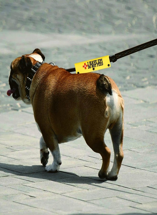 BLUPARK EPI Dog Leash Sleeve Exocrine Pancreatic Insufficiency Do Not Feed Doggy Leash Wrap Medical Dog Birthday Gift (I Have EPI) - Image 5