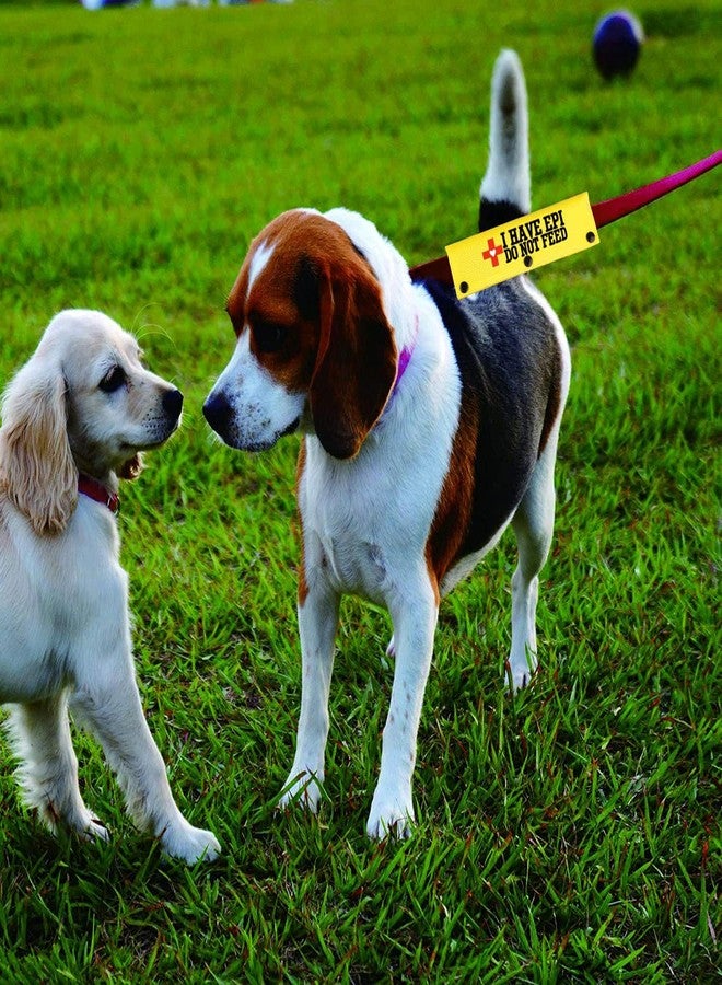 BLUPARK EPI Dog Leash Sleeve Exocrine Pancreatic Insufficiency Do Not Feed Doggy Leash Wrap Medical Dog Birthday Gift (I Have EPI) - Image 3