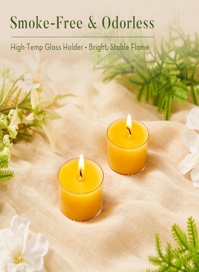 Ashlux 6 Hours Beeswax Tealight Candles 12 Pack,100% Pure Beeswax Candles in Clear Cup, Natural Beeswax Tea Lights for Air Purification,Christmas,Home Deco - Image 4