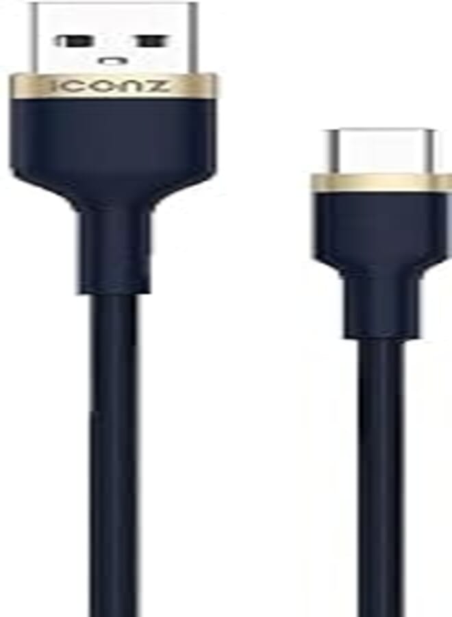 Braided Type C Cable Navy Gold 1m
