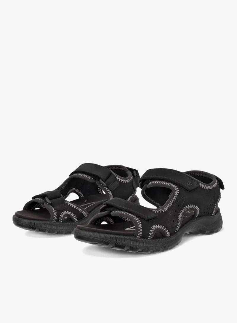 إيكو إيكو أون رودز دبليو أسود