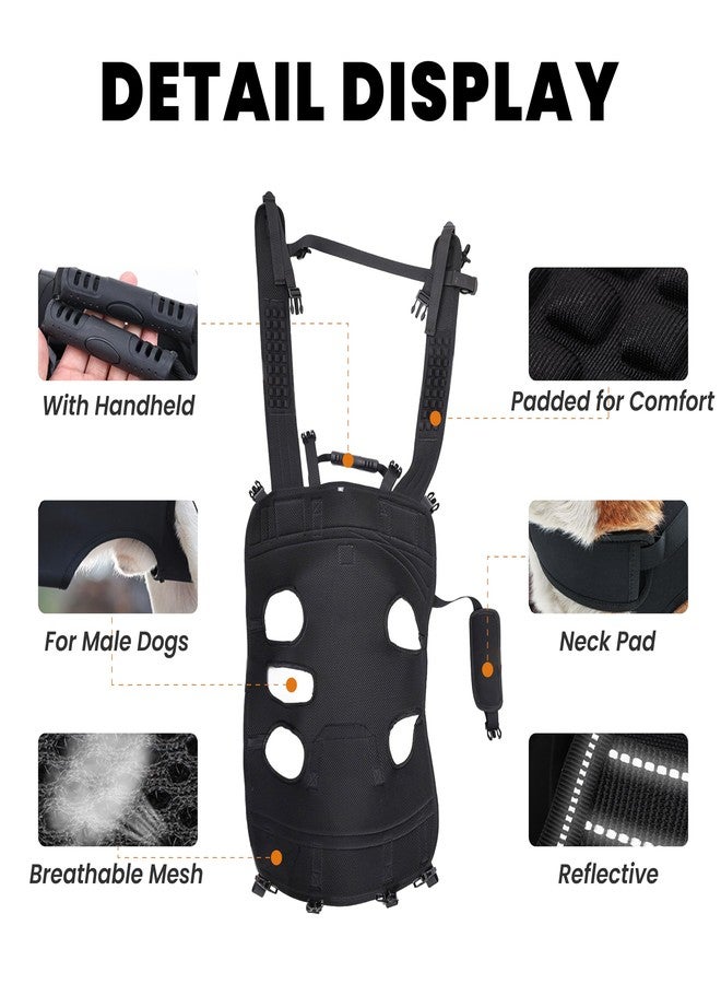 Terapaton Dog Lift Harness Backpack Carrier for Large Dogs, Full Body Sling with Handle, Dog Harness for Joint Injuries, Arthritis, Ideal for Stairs, Elderly Dogs (Black Large 20-29 LBS) - Image 5