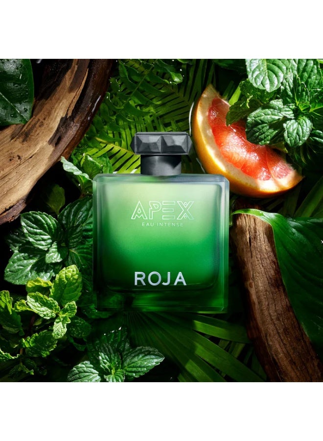 Roja Parfums Apex Eau Intense Eau De Parfum 100ml - Image 3