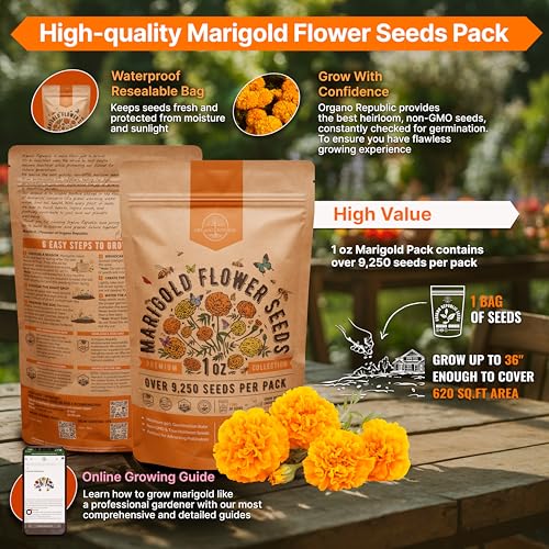 Organo Republic Marigold Seeds Pack 1 oz - Over 9,250 Non-GMO Heirloom Marigold Seeds for Planting Indoor & Outdoor Gardening, Flower Seed for Planting Home and Garden, Flowers Seed in Individual Packet - Image 2