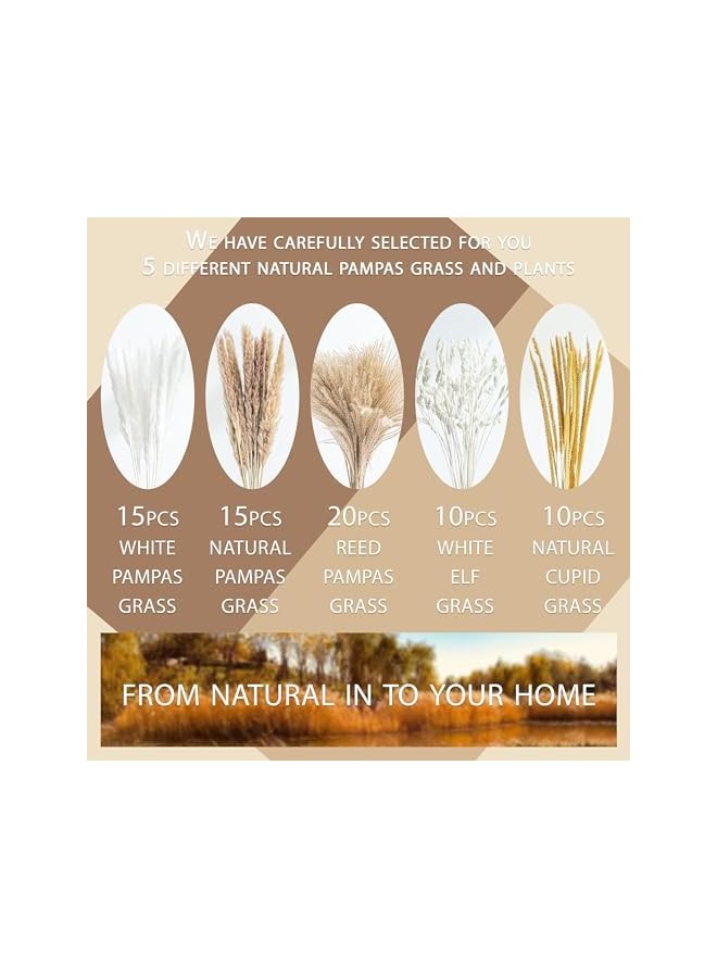 The Bros Natural Dried Pampas Grass for Home Decor Boho Decor Bouquet Phragmites Dried Flowers Bouquet for Wedding Floral Arrangements Home Decorations (80PCS), SG2419 - Image 5
