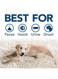 Simple Solution Extreme Pet Stain And Odor Remover | Enzymatic Cleaner With 3X ProBacteria Cleaning Power | Spring Breeze, 32 Ounces  - Image 5