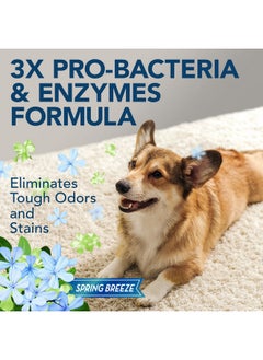 Simple Solution Extreme Pet Stain And Odor Remover | Enzymatic Cleaner With 3X ProBacteria Cleaning Power | Spring Breeze, 32 Ounces  - Image 4