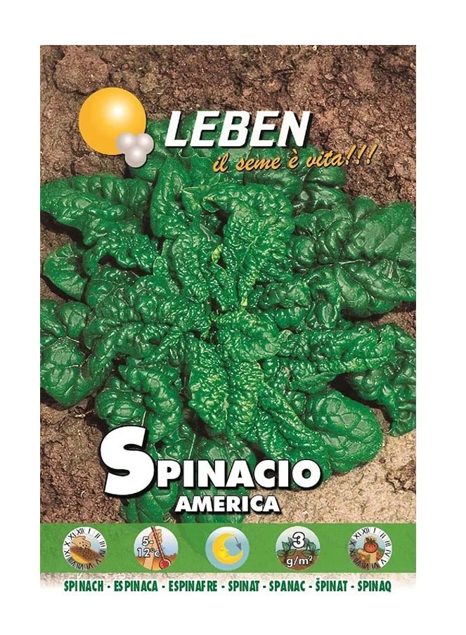 سبانخ ليبين (Spinacio America) بذور عالية الجودة مصنوعة في إيطاليا