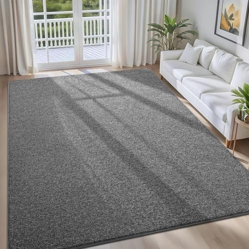 FALARK 4x6 Area Rugs for Bedroom Living Room, Dark Grey Soft Low-Pile Modern Indoor Thickened Memory Foam Non-Slip Washable Carpets for Kids Dorm Home Decor Rug - Image 1