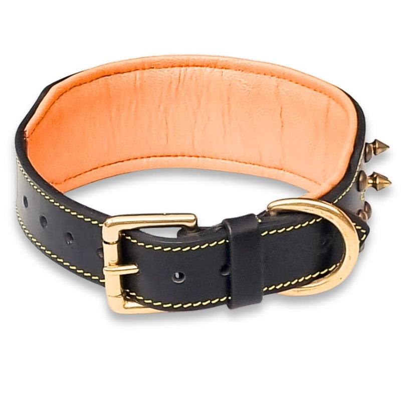 Rubby Premium Leather Dog Collar with Soft Padding, Brass Studs & Brass Spikes, Genuine Leather Collar for Dog, 2 inch Width Heavy Duty Collar (Medium) - Image 4