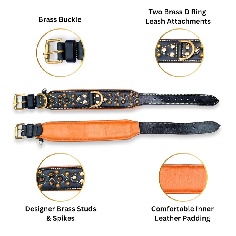 Rubby Premium Leather Dog Collar with Soft Padding, Brass Studs & Brass Spikes, Genuine Leather Collar for Dog, 2 inch Width Heavy Duty Collar (Medium) - Image 5
