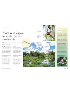 Lonely Planet The Joy of Birdwatching  - Image 1