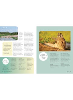 Lonely Planet The Joy of Birdwatching  - Image 3