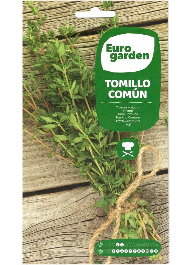 Euro Garden - Euro Garden Thyme - Image 1