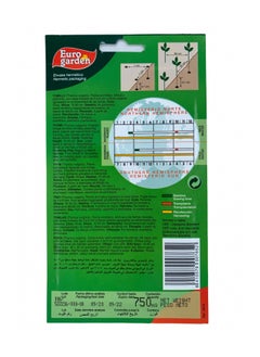 Euro Garden Thyme