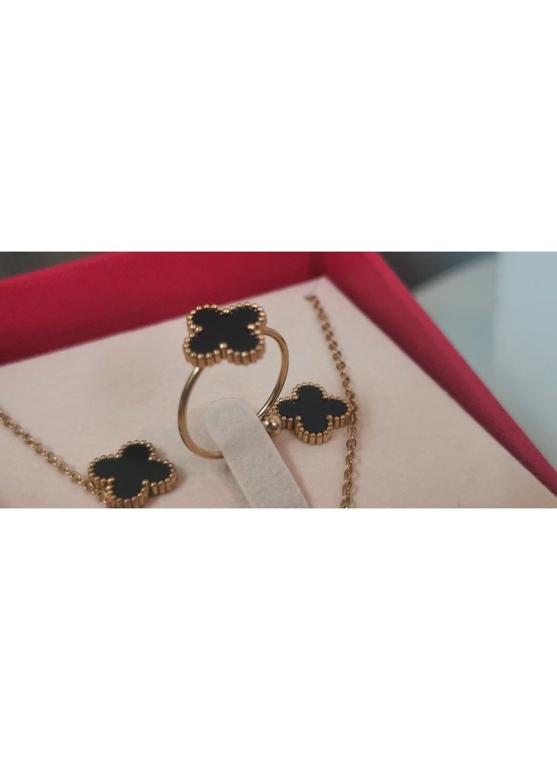 Rivoli Elegant women's stainless-steel set consisting of a waterproof watch with a set of bracelets, rings, necklaces, and earrings - Image 5