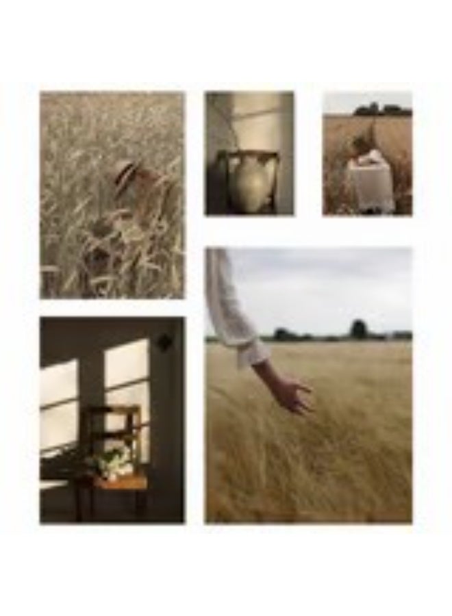 Poster set of 5 golden moments - Image 3
