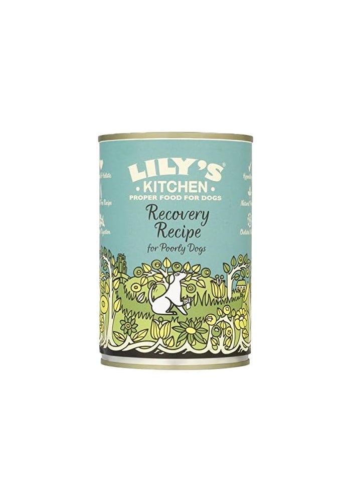 Lily's Kitchen Recovery Recipe Wet Dog Food - 400G