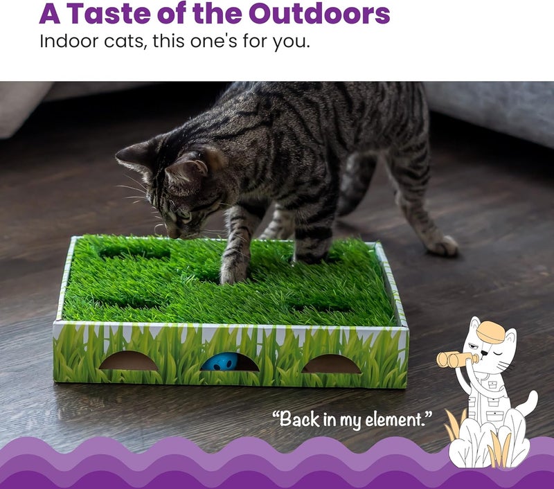 Catstages Grass Patch Hunting Box Cat Toy - Image 3