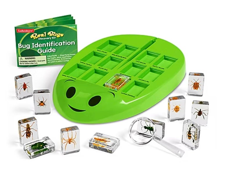 Lakeshore Real Bugs Discovery Kit - Image 2
