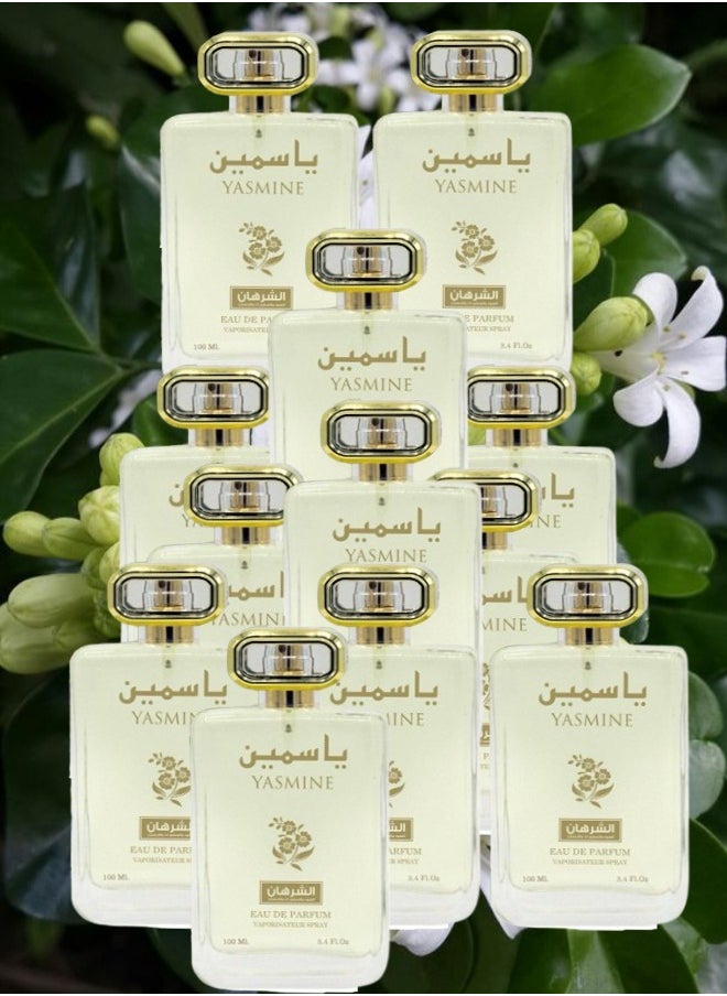 12 Pieces Yasmin Perfume 100ML - pzsku/ZFF16162DD6E21A04B052Z/45/_/1731003243/a6c5ed1e-f913-4ef3-93c3-f05ebcfe4a3f