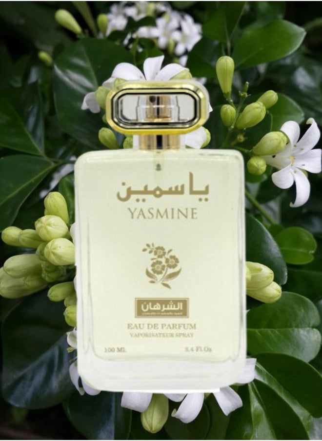 12 Pieces Yasmin Perfume 100ML - pzsku/ZFF16162DD6E21A04B052Z/45/_/1731003254/6209ffcf-3e56-4997-83ba-9109e5f63499